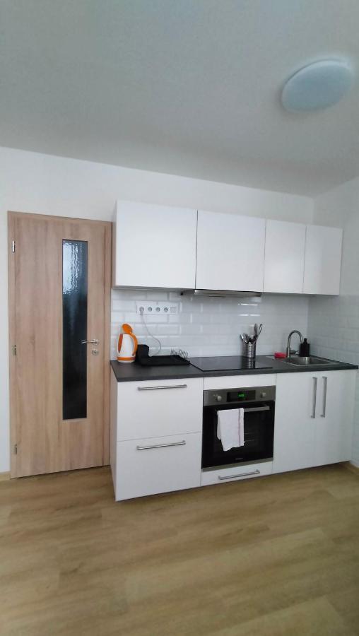 Apartment Stankova ブルノ エクステリア 写真