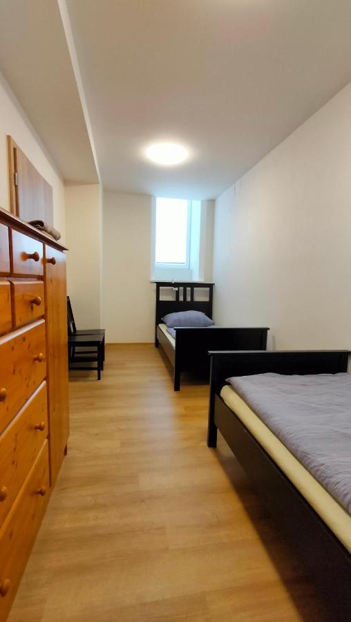 Apartment Stankova ブルノ エクステリア 写真