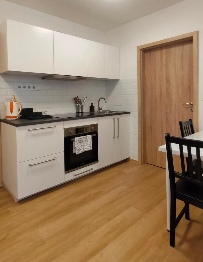 Apartment Stankova ブルノ エクステリア 写真